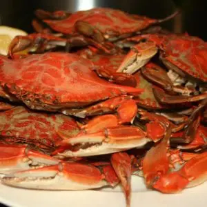 Jimmy's seafood buffet cooked blue crabs