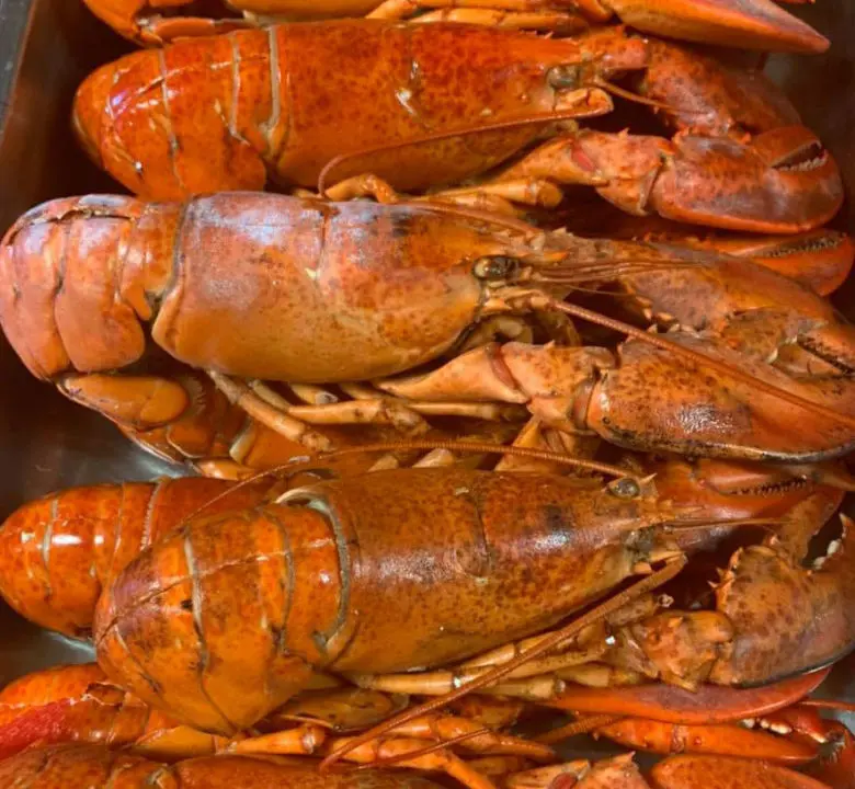 jimmys obx seafood buffet lobster